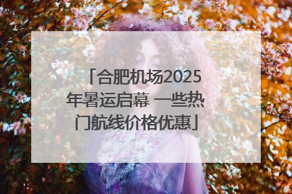 合肥机场2025年暑运启幕 一些热门航线价格优惠