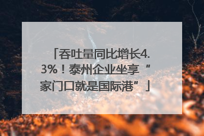 吞吐量同比增长4.3%！泰州企业坐享“家门口就是国际港”