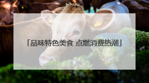 品味特色美食 点燃消费热潮