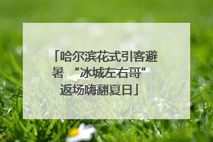 哈尔滨花式引客避暑 “冰城左右哥”返场嗨翻夏日