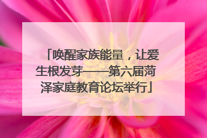 唤醒家族能量，让爱生根发芽——第六届菏泽家庭教育论坛举行