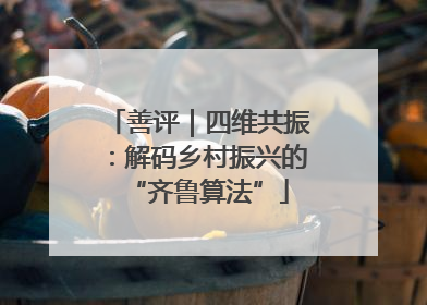 善评｜四维共振：解码乡村振兴的“齐鲁算法”