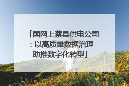 国网上蔡县供电公司：以高质量数据治理 助推数字化转型