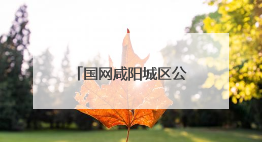 国网咸阳城区公司组织开展无偿献血公益活动