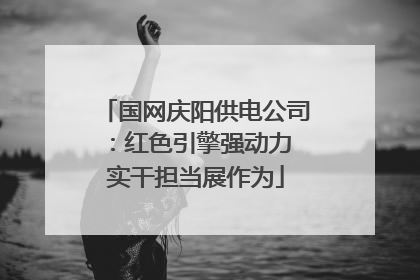 国网庆阳供电公司：红色引擎强动力 实干担当展作为