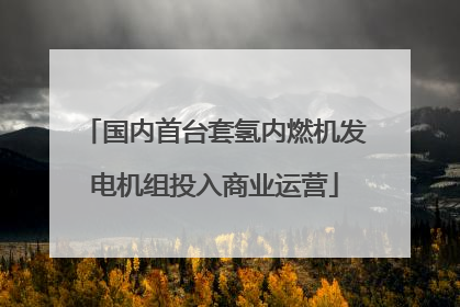 国内首台套氢内燃机发电机组投入商业运营