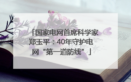 国家电网首席科学家郑玉平：40年守护电网“第一道防线”