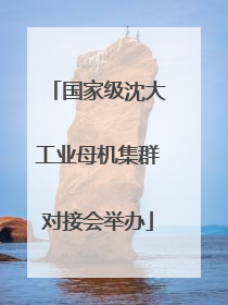 国家级沈大工业母机集群对接会举办