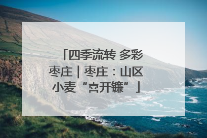 四季流转 多彩枣庄｜枣庄：山区小麦“喜开镰”