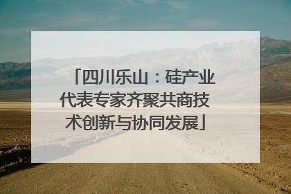 四川乐山：硅产业代表专家齐聚共商技术创新与协同发展