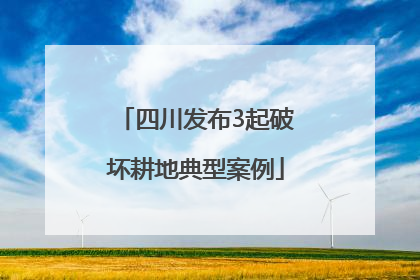 四川发布3起破坏耕地典型案例