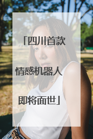 四川首款情感机器人即将面世