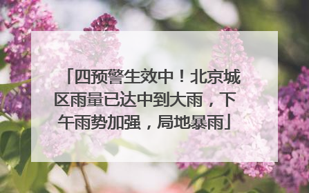 四预警生效中！北京城区雨量已达中到大雨，下午雨势加强，局地暴雨