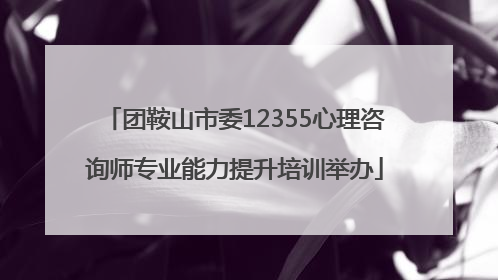 团鞍山市委12355心理咨询师专业能力提升培训举办