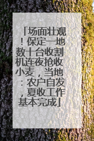 场面壮观！保定一地数十台收割机连夜抢收小麦，当地：农户自发，夏收工作基本完成