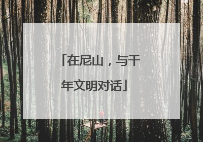 在尼山，与千年文明对话