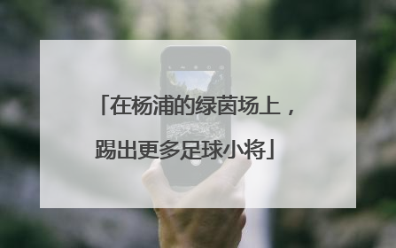 在杨浦的绿茵场上，踢出更多足球小将