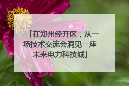 在郑州经开区，从一场技术交流会洞见一座未来电力科技城