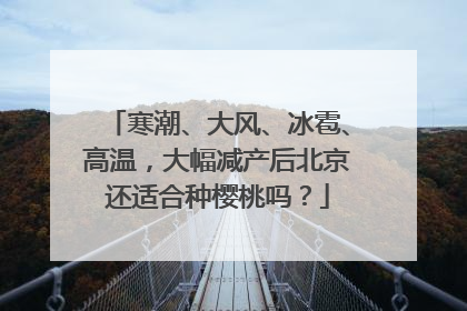 寒潮、大风、冰雹、高温，大幅减产后北京还适合种樱桃吗？