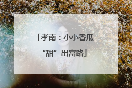 孝南：小小香瓜 “甜”出富路