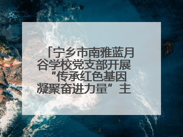 宁乡市南雅蓝月谷学校党支部开展“传承红色基因 凝聚奋进力量”主题党日活动