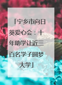 宁乡市向日葵爱心会：十年助学让近三百名学子圆梦大学