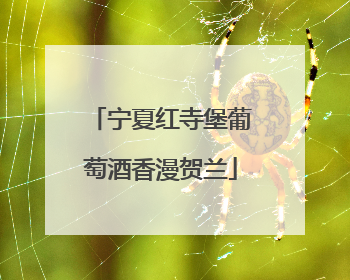 宁夏红寺堡葡萄酒香漫贺兰