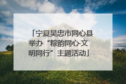 宁夏吴忠市同心县举办“粽韵同心·文明同行”主题活动