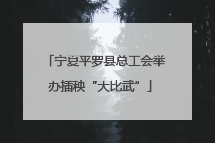 宁夏平罗县总工会举办插秧“大比武”