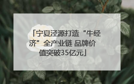 宁夏泾源打造“牛经济”全产业链 品牌价值突破35亿元