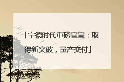 宁德时代重磅官宣：取得新突破，量产交付