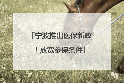 宁波推出医保新政！放宽参保条件