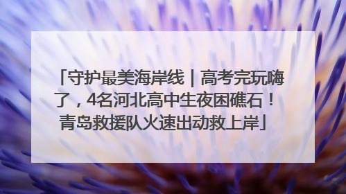 守护最美海岸线｜高考完玩嗨了，4名河北高中生夜困礁石！青岛救援队火速出动救上岸