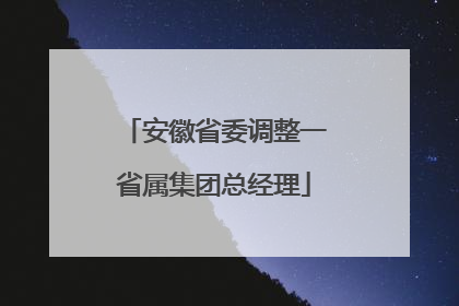 安徽省委调整一省属集团总经理