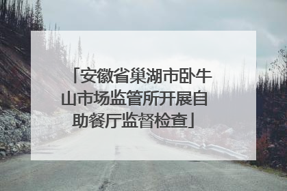 安徽省巢湖市卧牛山市场监管所开展自助餐厅监督检查