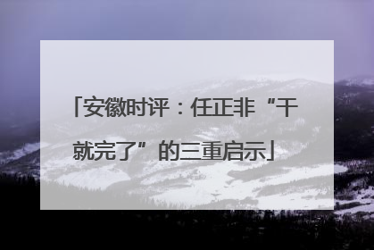 安徽时评：任正非“干就完了”的三重启示