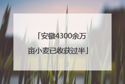 安徽4300余万亩小麦已收获过半