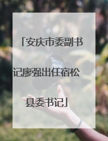 安庆市委副书记廖强出任宿松县委书记
