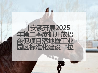 安溪开展2025年第二季度抓开放招商促项目落地暨工业园区标准化建设“拉练”活动