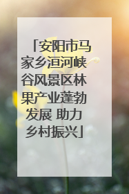 安阳市马家乡洹河峡谷风景区林果产业蓬勃发展 助力乡村振兴