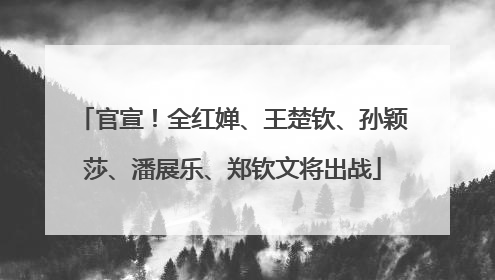 官宣！全红婵、王楚钦、孙颖莎、潘展乐、郑钦文将出战