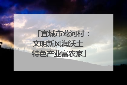 宜城市莺河村：文明新风润沃土 特色产业富农家