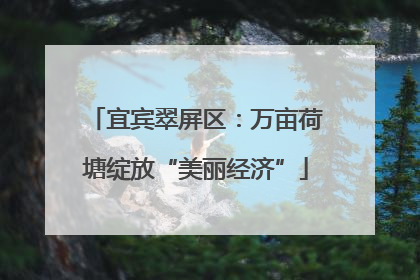 宜宾翠屏区：万亩荷塘绽放“美丽经济”