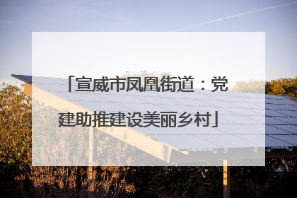 宣威市凤凰街道：党建助推建设美丽乡村