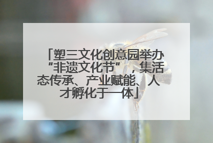 塑三文化创意园举办“非遗文化节”，集活态传承、产业赋能、人才孵化于一体