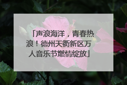 声浪海洋，青春热浪！德州天衢新区万人音乐节燃情绽放