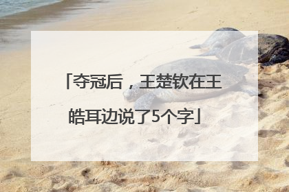夺冠后，王楚钦在王皓耳边说了5个字