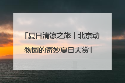 夏日清凉之旅丨北京动物园的奇妙夏日大赏