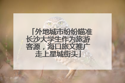 外地城市纷纷瞄准长沙大学生作为旅游客源，海口旅文推广走上星城街头