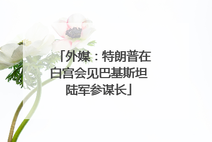外媒：特朗普在白宫会见巴基斯坦陆军参谋长